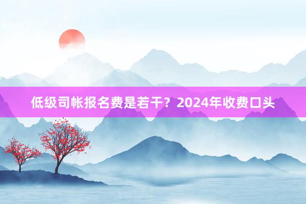 低级司帐报名费是若干？2024年收费口头