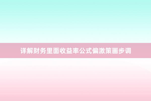 详解财务里面收益率公式偏激策画步调