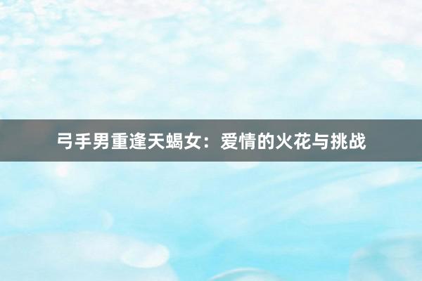 弓手男重逢天蝎女：爱情的火花与挑战