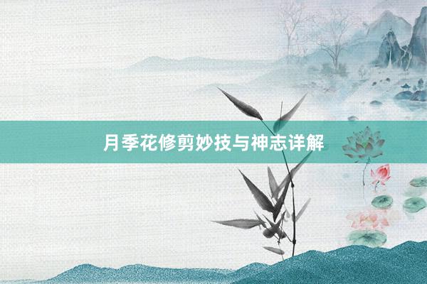 月季花修剪妙技与神志详解